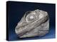 Fossil Icthyosaur Collected by F. W. L. Ross-null-Premier Image Canvas