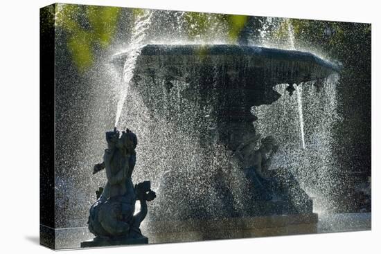 Fountain dating back to 1889, in the centre of the Praca Dom Pedro IV, with mythological statues. R-Mauricio Abreu-Premier Image Canvas