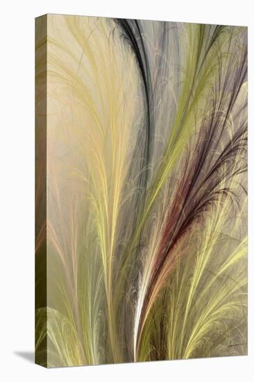 Fountain Grass I-James Burghardt-Stretched Canvas