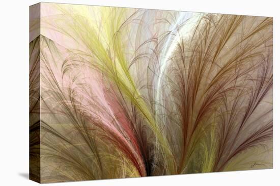 Fountain Grass II-James Burghardt-Stretched Canvas