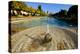 Fountain in the Alcazar De Los Reyes Cristianos, Cordoba, Andalucia, Spain-Carlo Morucchio-Premier Image Canvas