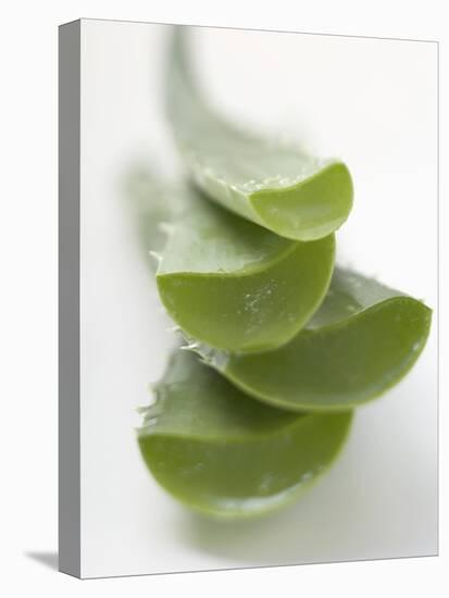 Four Aloe Vera Leaves, in a Pile-null-Premier Image Canvas