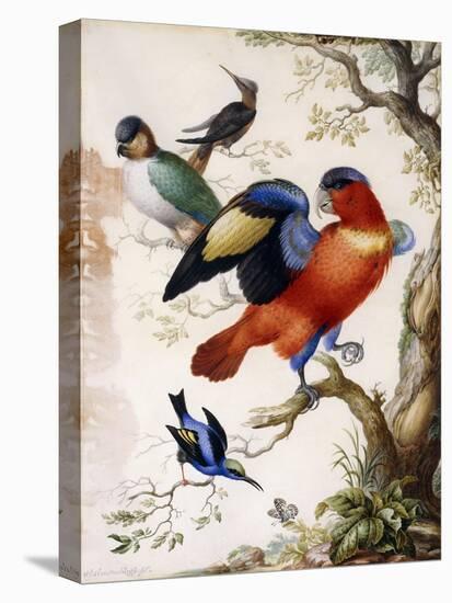 Four Birds in Wood-Herman Henstenburgh-Premier Image Canvas