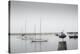 Four Boats & Seagull-Moises Levy-Premier Image Canvas