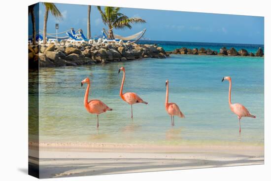 Four Flamingos on the Beach-PhotoSerg-Premier Image Canvas