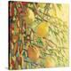 Four Lemons-Jennifer Lommers-Stretched Canvas