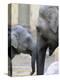 Four Month Old Elephant and Her Mother are Pictured in Hagenbeck's Zoo in Hamburg, Northern Germany-null-Premier Image Canvas