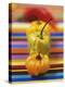 Four Peppers-Debi Treloar-Premier Image Canvas