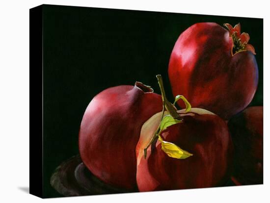Four Pomegranates-Terri Hill-Premier Image Canvas