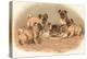 Four Pug Dogs Sitting around a Kitten on a Plate-English School-Premier Image Canvas