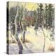 Four Seasons Aspens IV-Nanette Oleson-Stretched Canvas