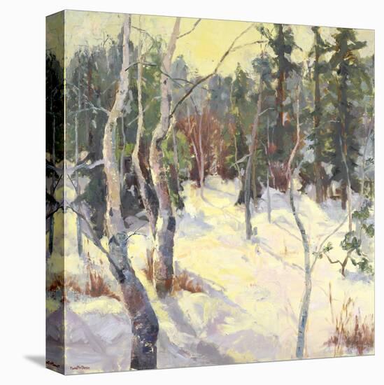 Four Seasons Aspens IV-Nanette Oleson-Stretched Canvas