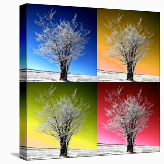 Four Seasons-Philippe Sainte-Laudy-Premier Image Canvas