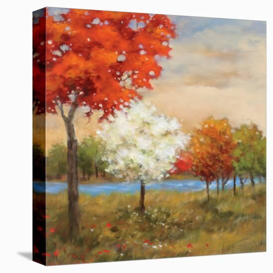 Four Seasons-Adam Rogers-Stretched Canvas