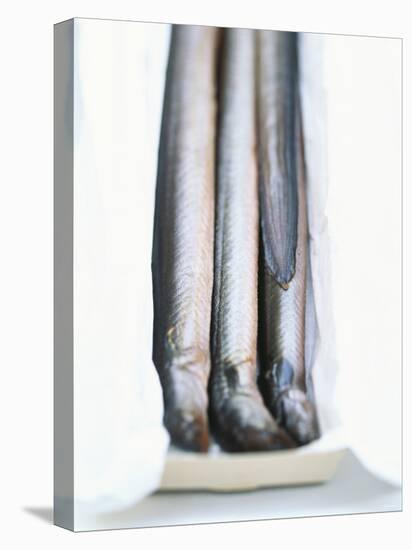 Four Smoked Eels in a Box-Peter Medilek-Premier Image Canvas