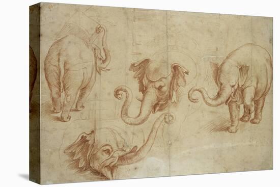 Four Studies of an Elephant-Giulio Romano-Premier Image Canvas