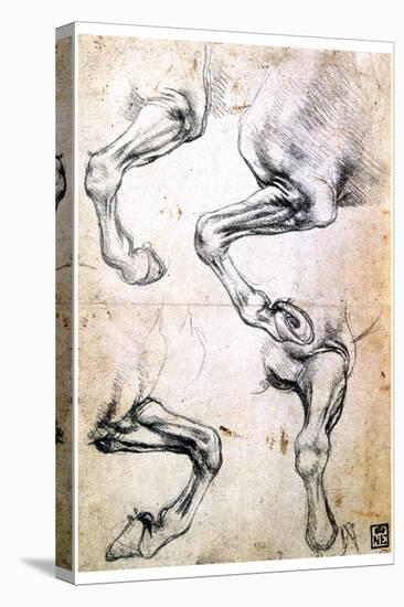 Four Studies of Horses' Legs, C1500-Leonardo da Vinci-Premier Image Canvas