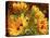 Four Sunflowers-Mandy Budan-Premier Image Canvas