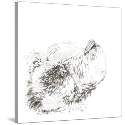 'Fowl Friends' Stretched Canvas Print Kristine Hegre Art