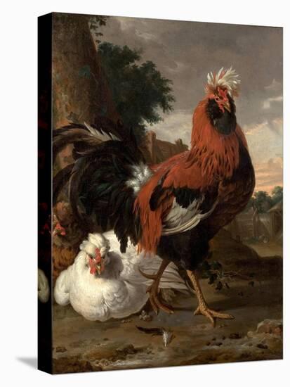Fowl (Oil on Canvas)-Melchior de Hondecoeter-Premier Image Canvas