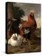 Fowl (Oil on Canvas)-Melchior de Hondecoeter-Premier Image Canvas