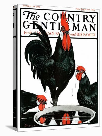 "Fowl Reflections," Country Gentleman Cover, October 27, 1923-Paul Bransom-Premier Image Canvas