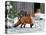 Fox and Barn-Russell Cobane-Stretched Canvas