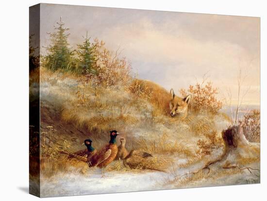 Fox and Pheasants in Winter-null-Premier Image Canvas