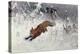 Fox Being Chased Through the Snow-Bruno Andreas Liljefors-Premier Image Canvas