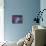 Fox Fur Nebula-Stocktrek Images-Premier Image Canvas displayed on a wall