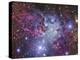 Fox Fur Nebula-Stocktrek Images-Premier Image Canvas