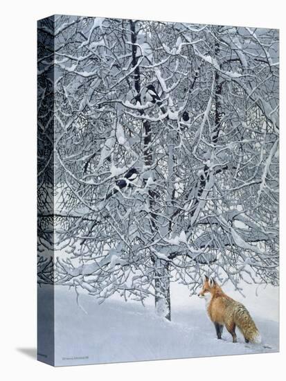 Fox in Snow-Harro Maass-Premier Image Canvas