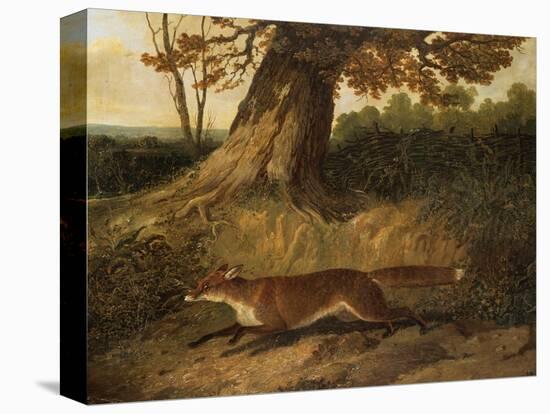 Fox on the Run-John Frederick Herring I-Premier Image Canvas