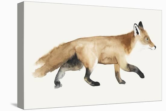 Fox Trot II-Grace Popp-Stretched Canvas