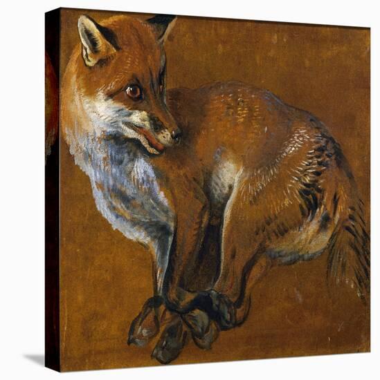 Fox with Legs Tied, by Alexandre-Francois Desportes (1661-1743), France, 18th Century-Alexandre-Francois Desportes-Premier Image Canvas