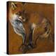 Fox with Legs Tied, by Alexandre-Francois Desportes (1661-1743), France, 18th Century-Alexandre-Francois Desportes-Premier Image Canvas