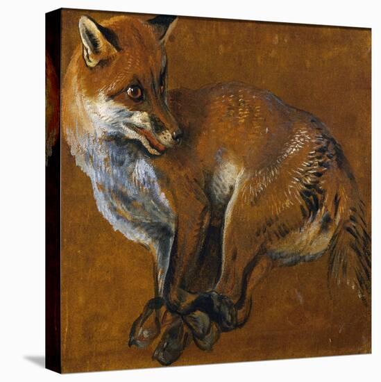 Fox with Legs Tied, by Alexandre-Francois Desportes (1661-1743), France, 18th Century-Alexandre-Francois Desportes-Premier Image Canvas