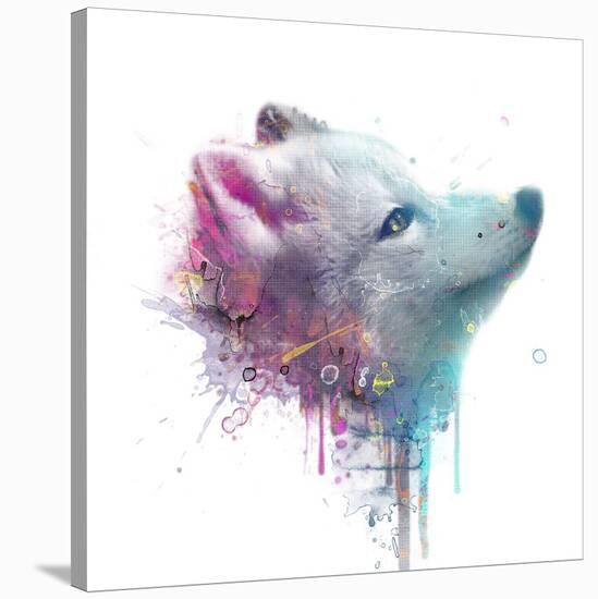 Fox-VeeBee-Stretched Canvas