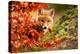 Fox-Robert Adamec-Premier Image Canvas