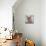 Fox-Anna Polanski-Stretched Canvas displayed on a wall