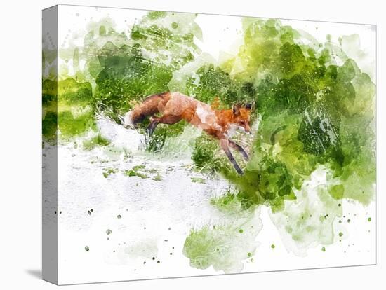Fox-Chamira Young-Stretched Canvas