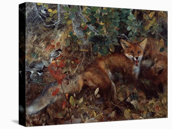 Foxes, 1886-Bruno Andreas Liljefors-Premier Image Canvas