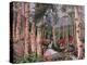 Foxgloves by Nikolai Astrup-Nikolai Astrup-Premier Image Canvas