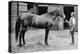 'Foxhall', 1880-1904, (1911)-Unknown-Premier Image Canvas