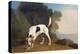 Foxhound on the Scent, C.1760 (Oil on Paper Laid on Board)-George Stubbs-Premier Image Canvas