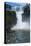 Foz De Iguazu (Iguacu Falls)-Michael Runkel-Premier Image Canvas