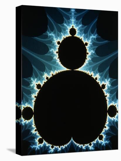 Fractal Geometry : Mandelbrot Set-Dr. Seth Shostak-Premier Image Canvas