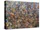 Fragmented Fall-James W Johnson-Premier Image Canvas