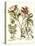 Framboise Floral II-Besler Basilius-Stretched Canvas