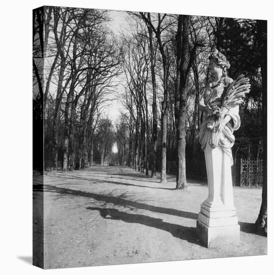France, 1920 - The Park, Versailles-Eugene Atget-Stretched Canvas